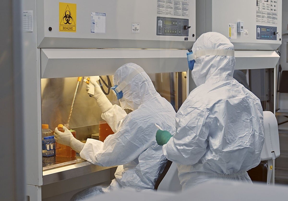 Estados Unidos aprueba el primer medicamento de terapia génica 'made in Spain'