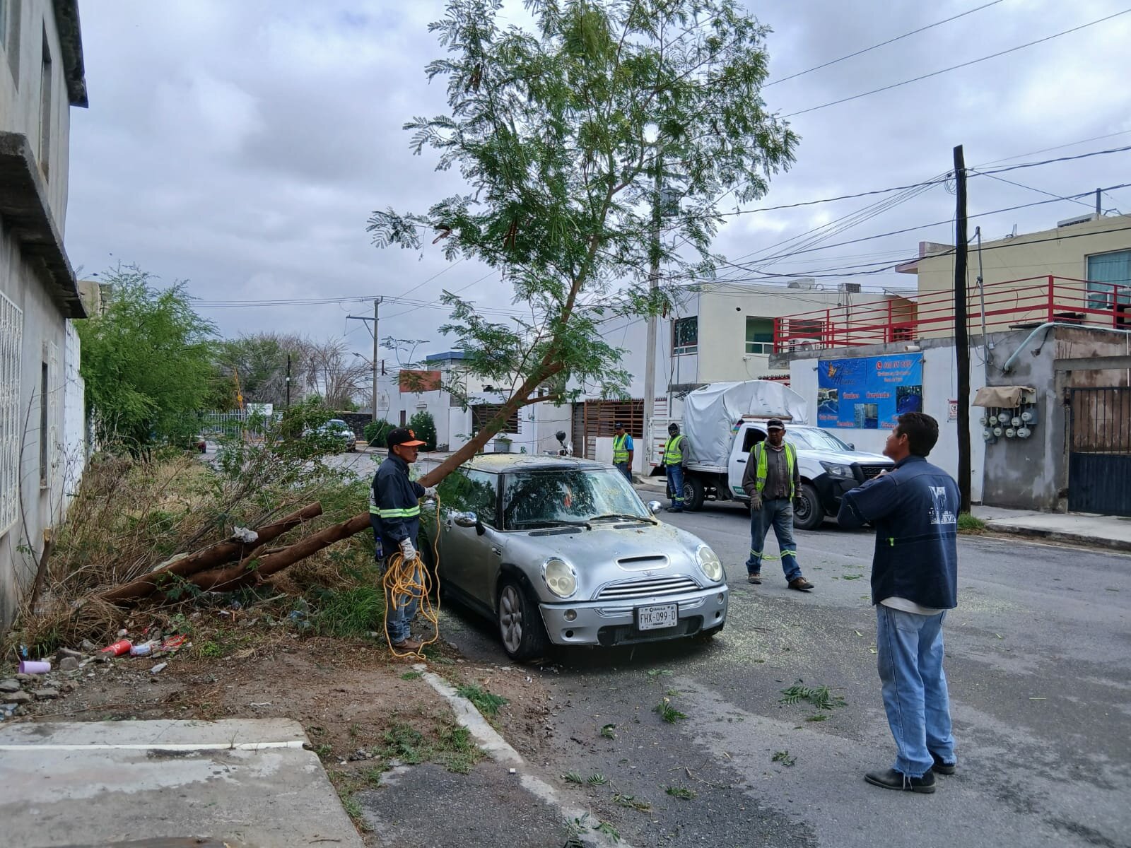 Árbol colapsa por lluvias y aplasta vehículo en Jardines del Valle de Monclova 