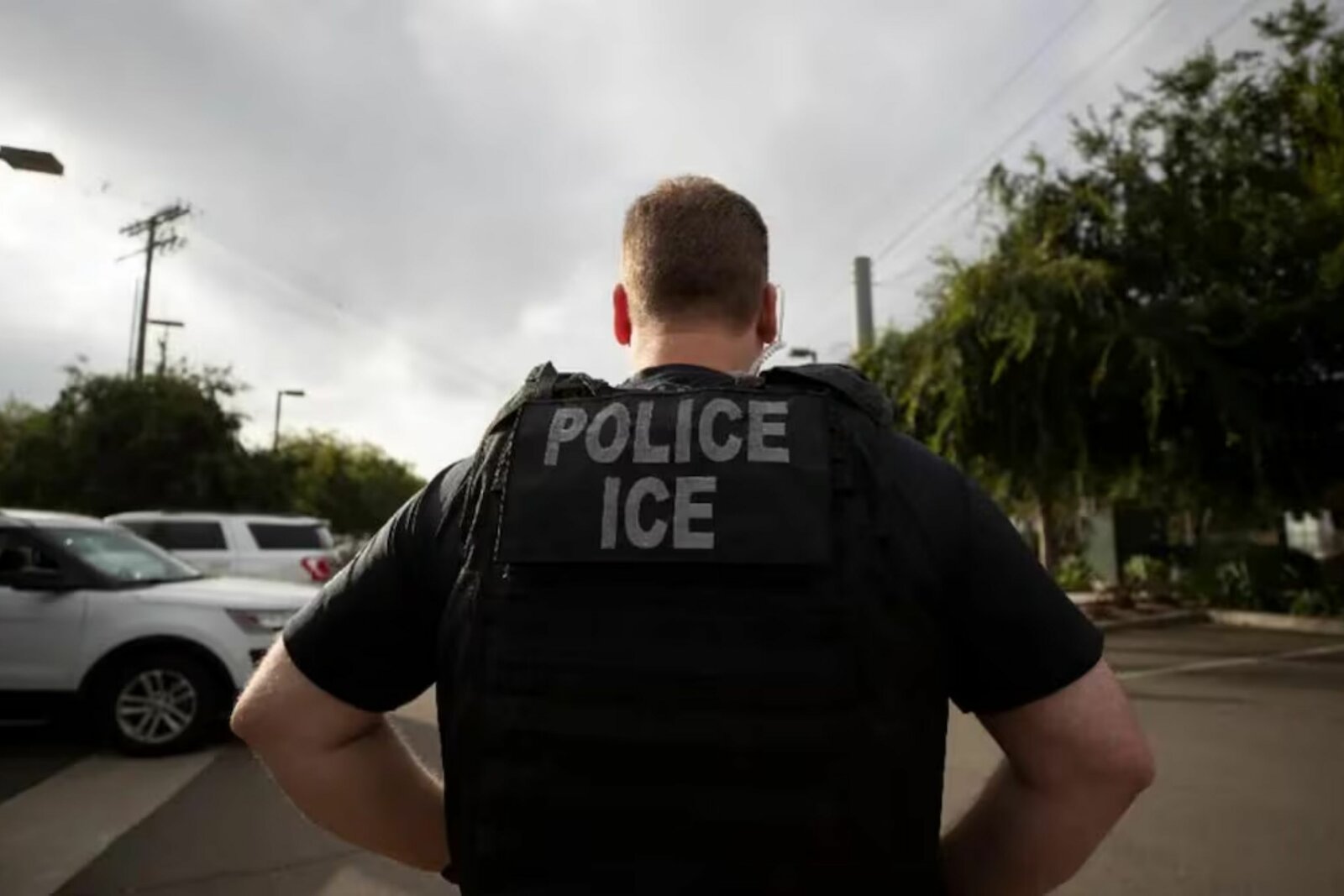 Caso Infonavit: Rafael Zaga Tawil es detenido por ICE en Estados Unidos