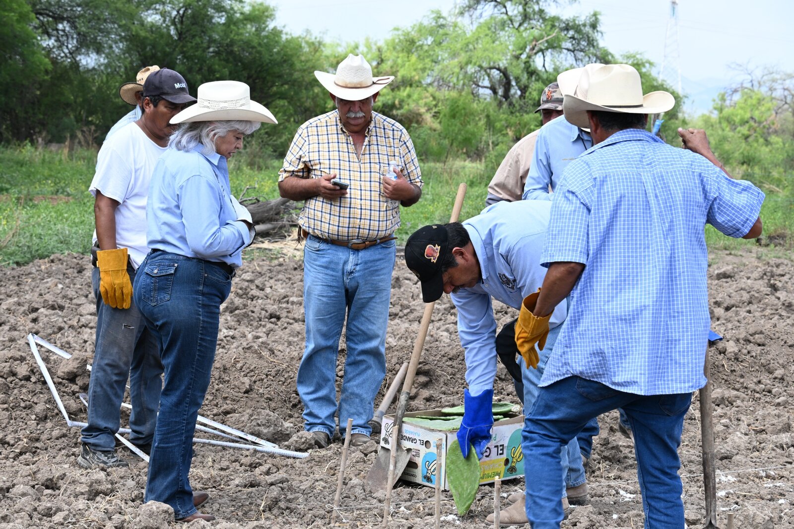 Region: Con el impulso de la alcaldesa Sari Pérez Cantú y la supervisión de la Universidad 
Autónoma Agraria Antonio Narro