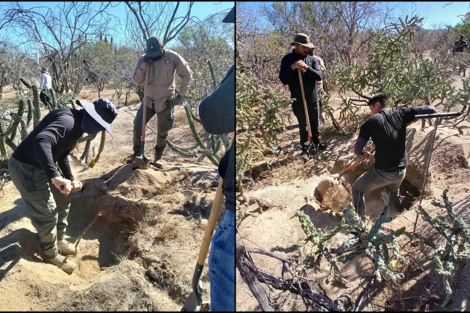 Localizan cinco fosas clandestinas con 10 osamentas en Baja California Sur