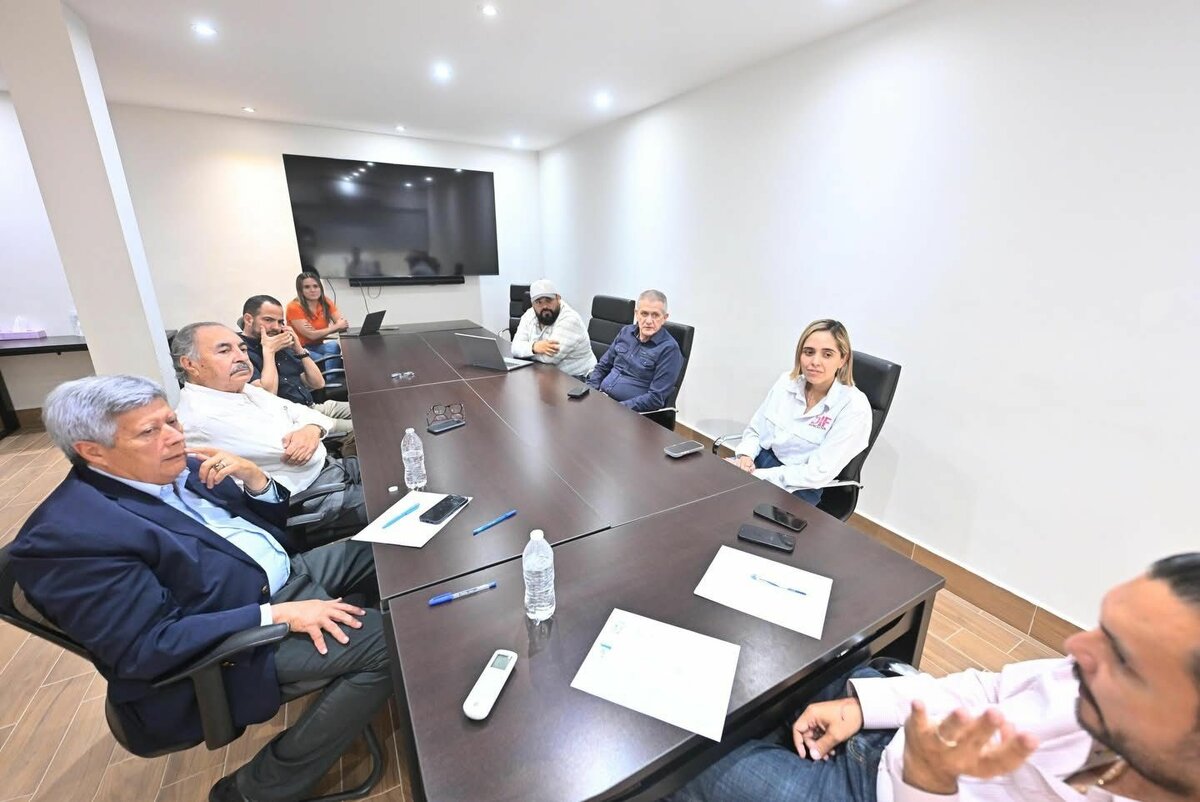  sector salud