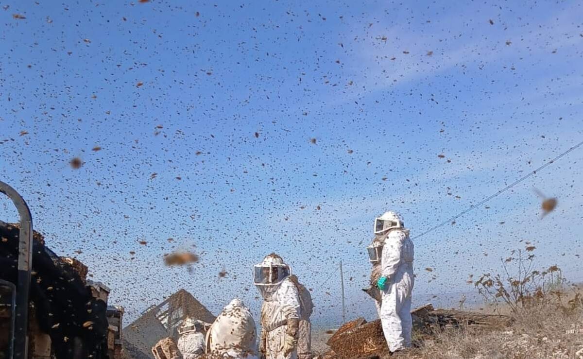 seguridad
