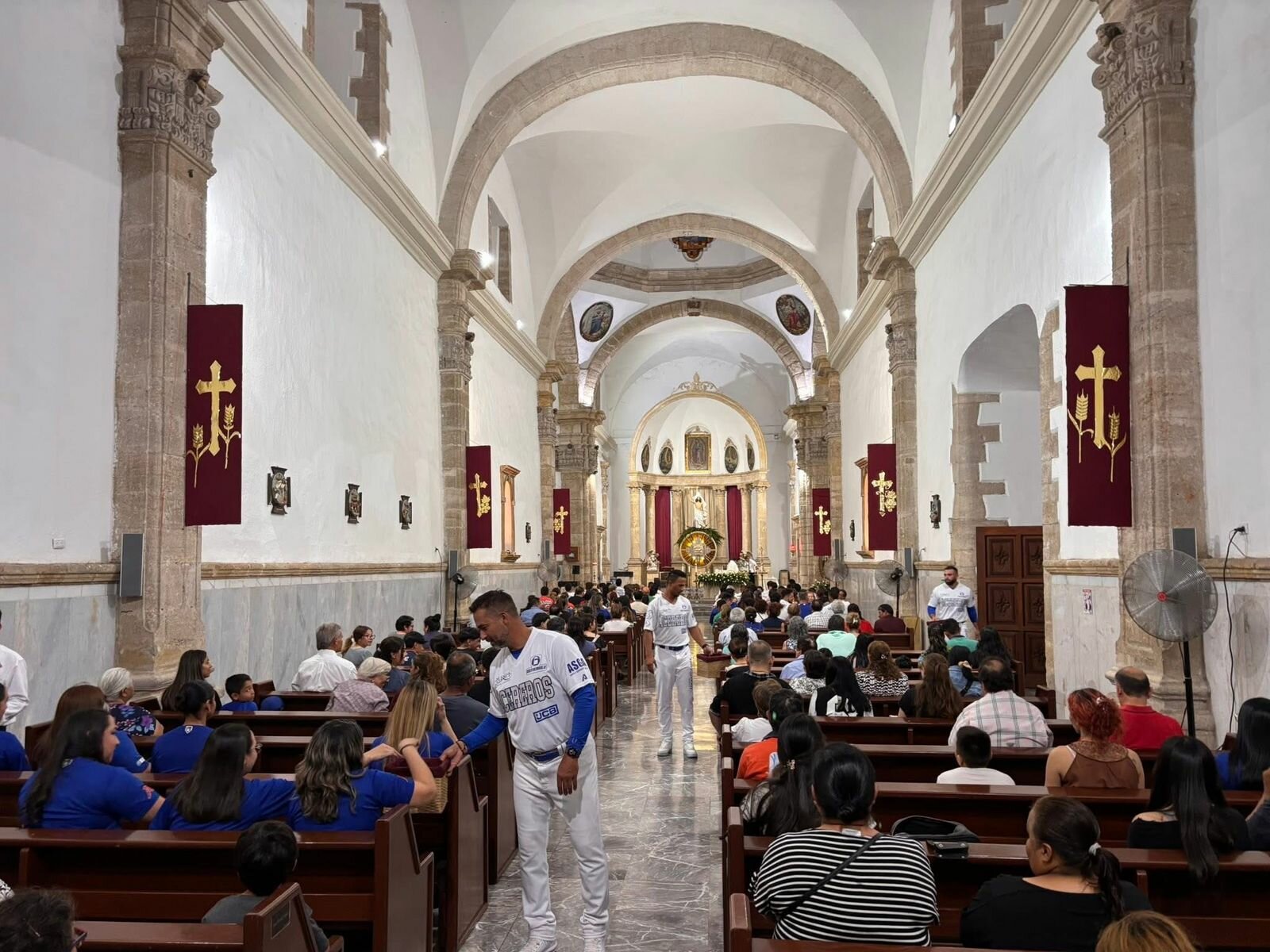 Acereros 