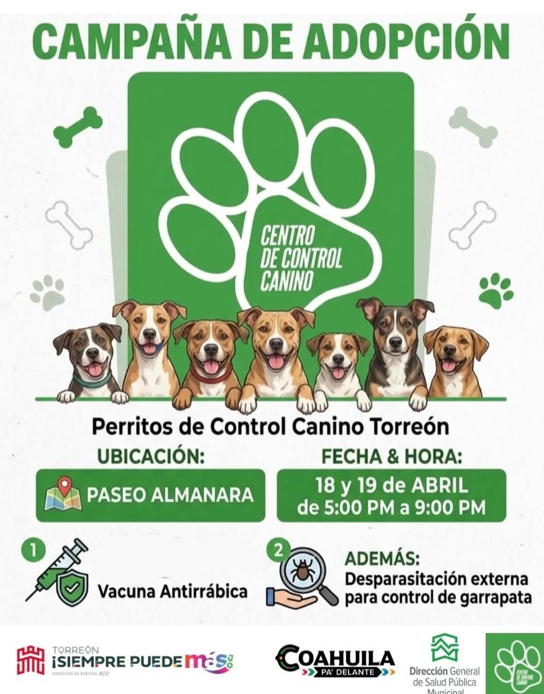 adopción de perritos