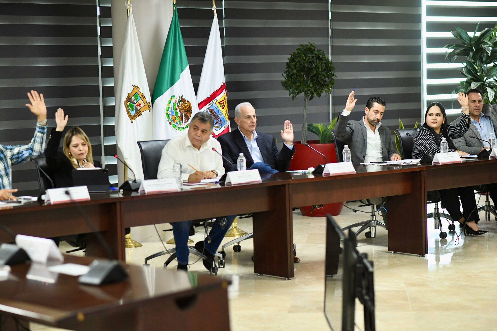 Aprueba el Cabildo apoyos en favor de la cultura y la protección animal