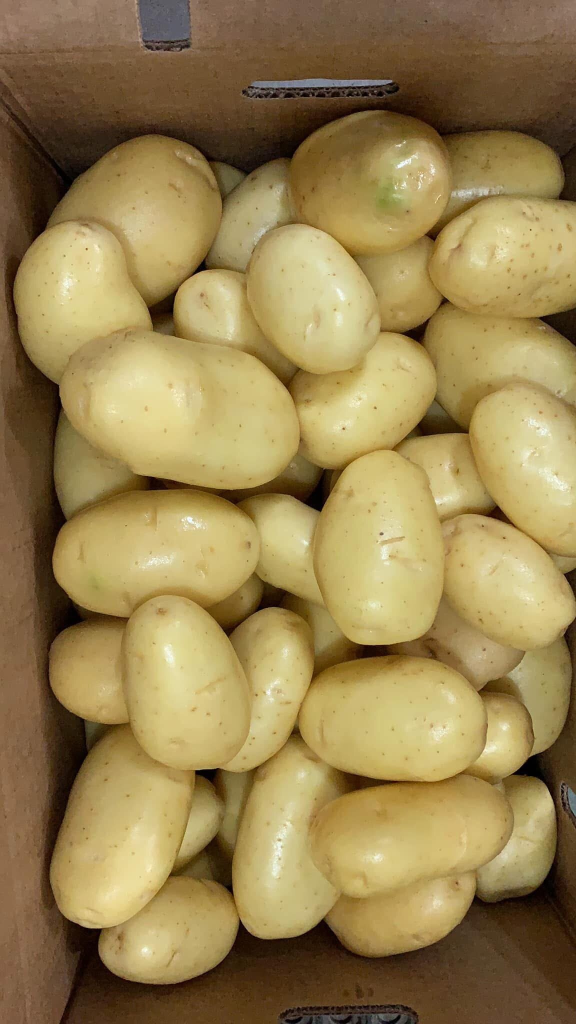 Comerciantes enfrentan ajustes por inflación y presiones externas acumuladas desde 2025