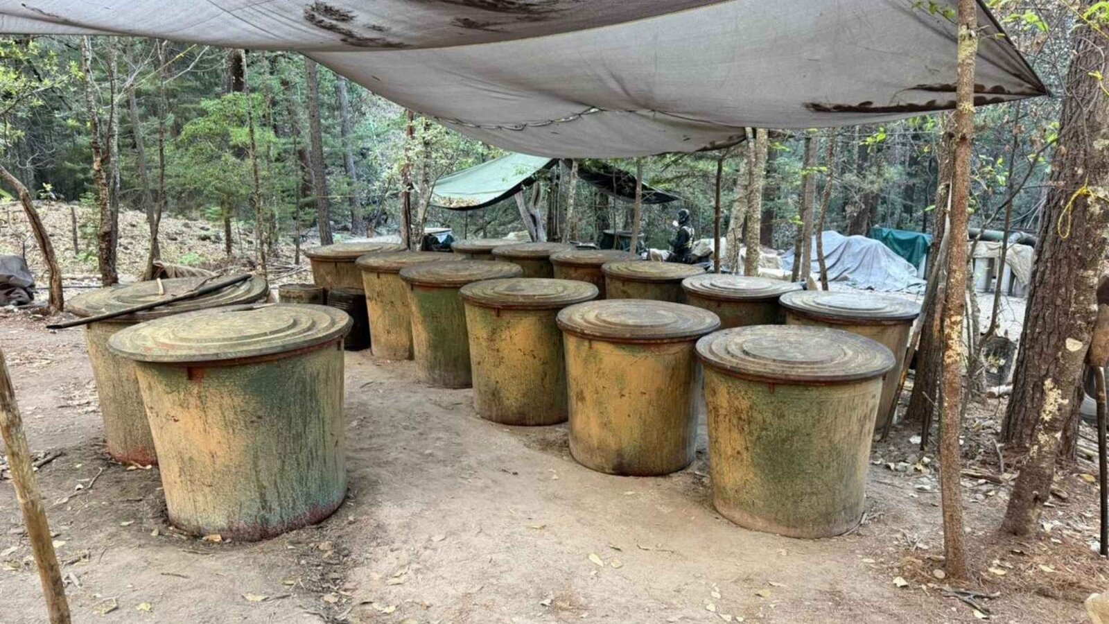 Aseguran dos laboratorios de droga sintética en la sierra de Chihuahua