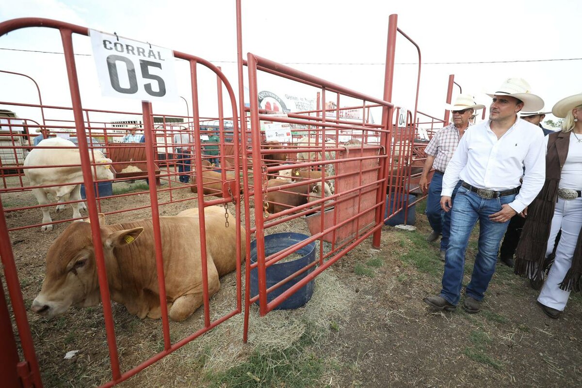 Región: Todos quienes compren un semental en las diferentes subastas en el estado, tendrán un apoyo de 20 mil pesos.