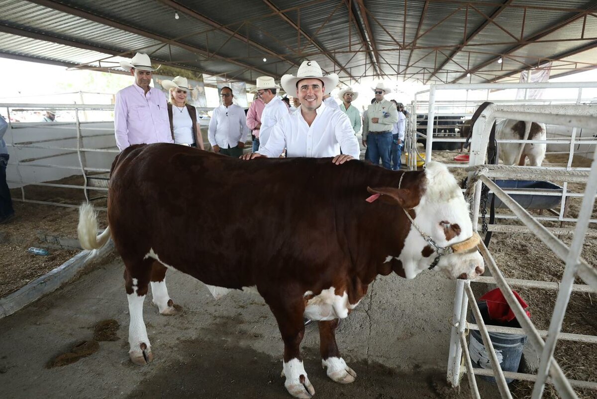 Región: Todos quienes compren un semental en las diferentes subastas en el estado, tendrán un apoyo de 20 mil pesos.