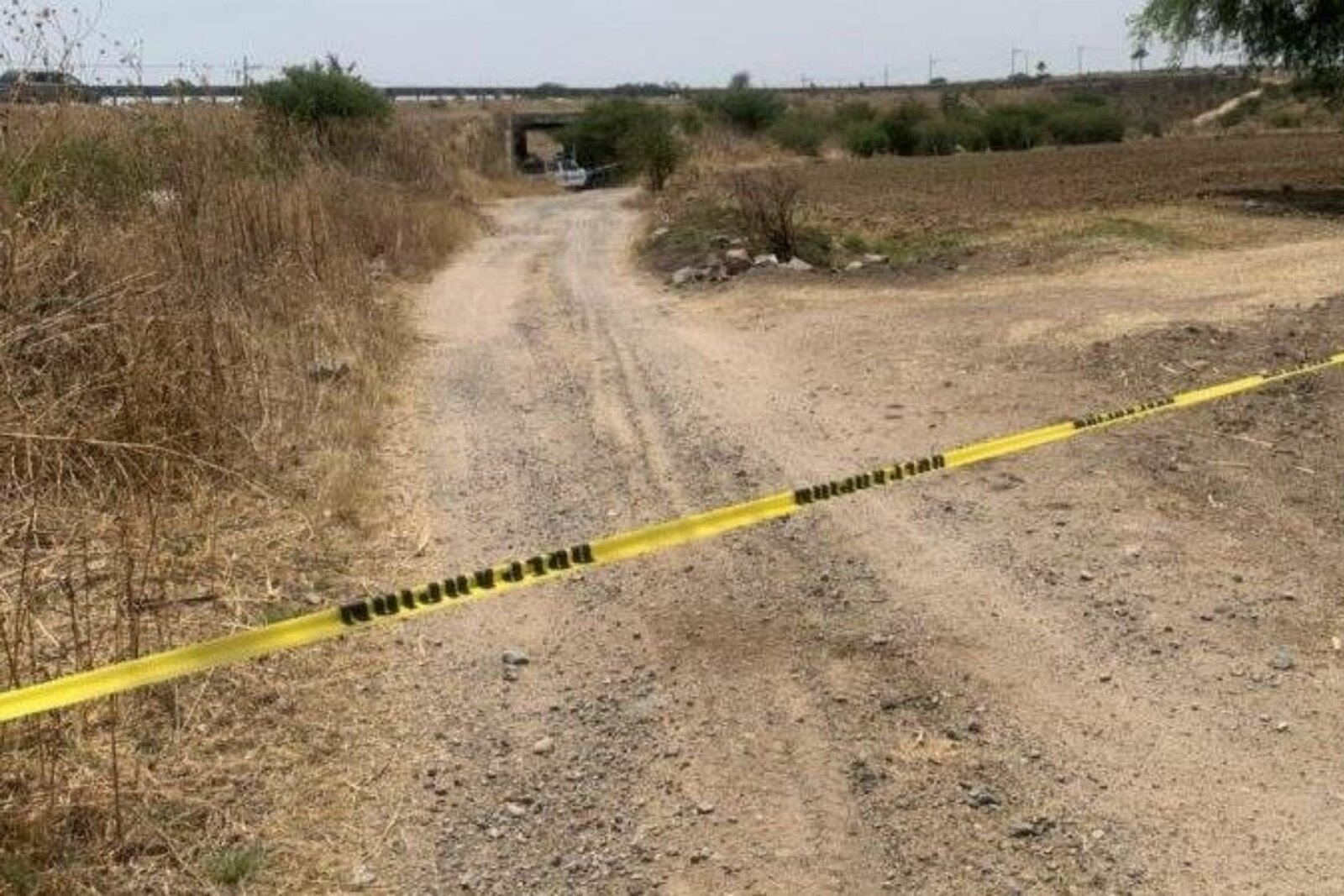 Dos cuerpos calcinados son encontrados bajo puente en León, Guanajuato