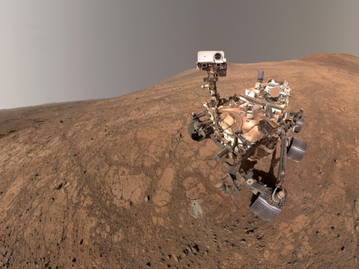 Un hongo desafía los protocolos de la NASA: riesgo de contaminación en Marte