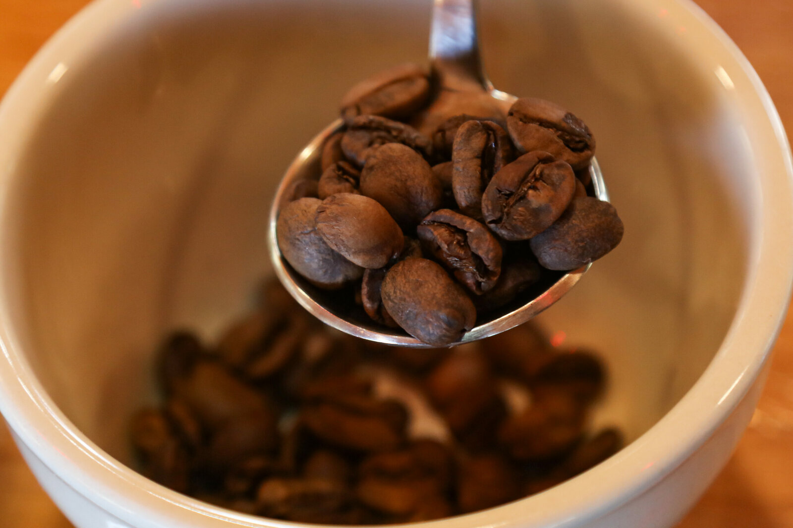 El Salvador destaca en Festival del Café de Chongqing 2026