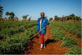 Cuba llama a cambiar patrones de consumo en el Día de la Madre Tierra