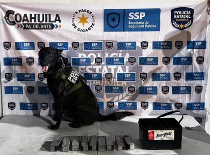 Incautan cargamento de fentanilo valuado en millones en Piedras Negras