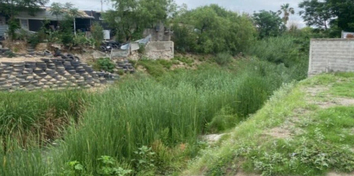 Basura y maleza invaden el arroyo “El Soldado” ante falta de mantenimiento