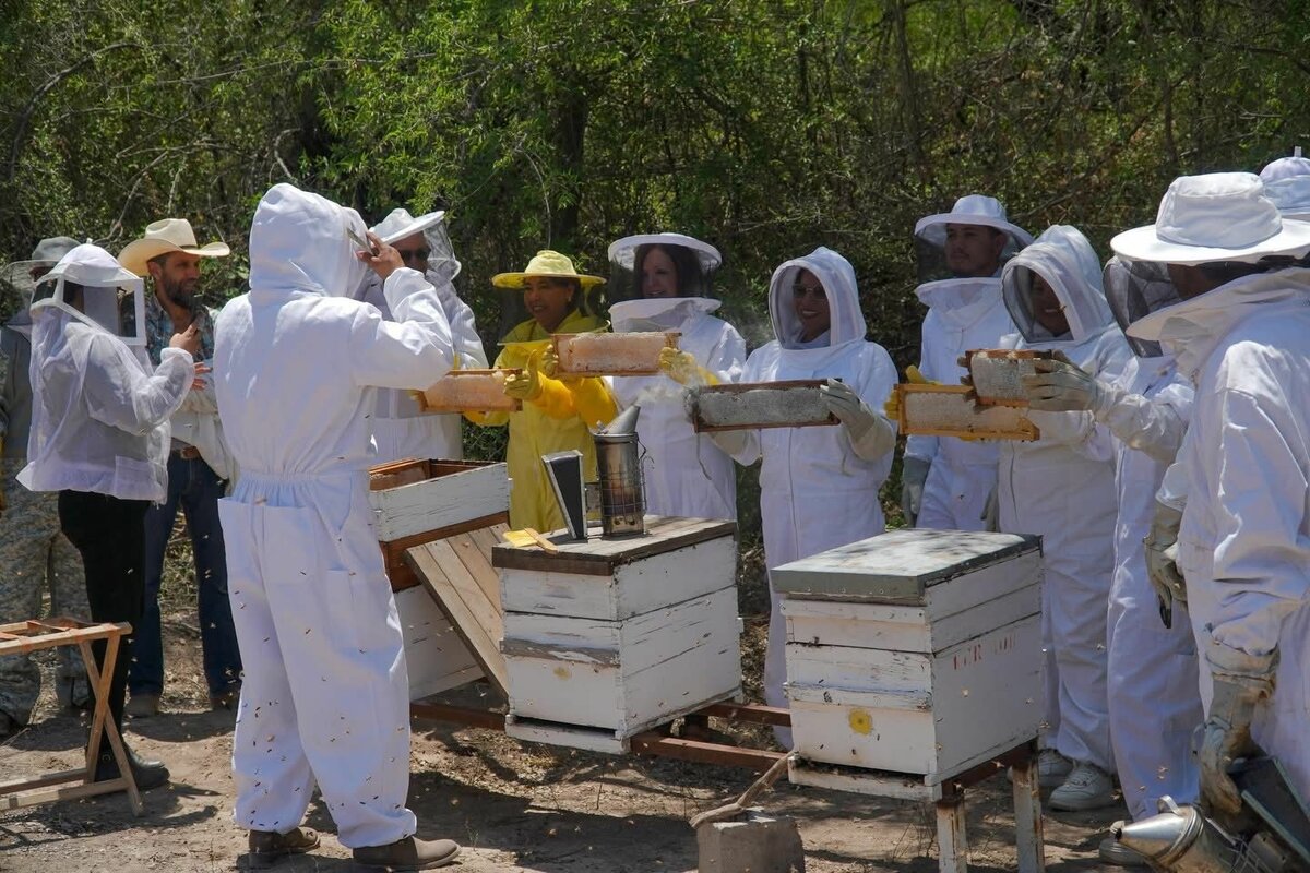 Carlos Villarreal hace equipo con productores para fortalecer al sector apícola