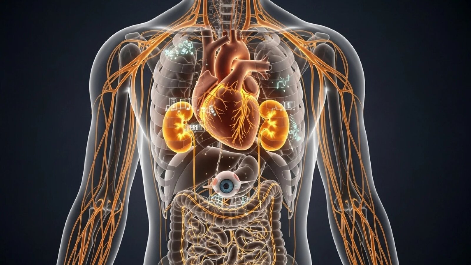 Qué le pasa a tus órganos si tienes la glucosa alta por mucho tiempo