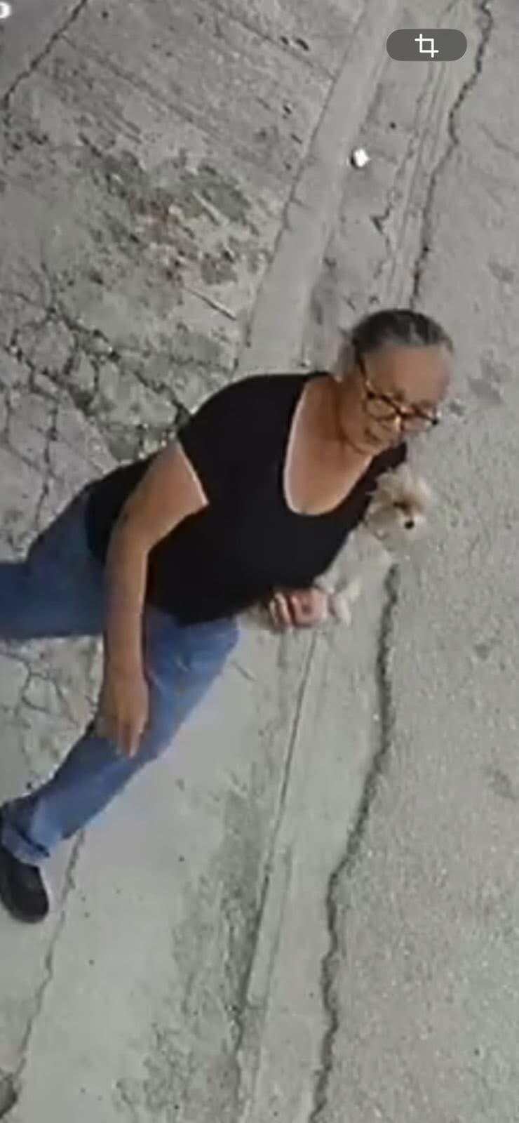    La difusión de un video en redes sociales evidenció el momento en que una mujer toma una mascota desde el exterior de un domicilio en la colonia