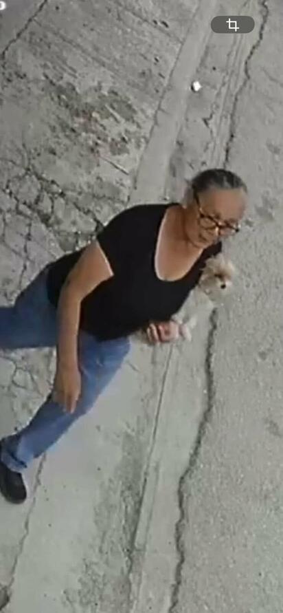 Video exhibe sustracción de mascota en Presidentes 1; buscan identificar a responsable