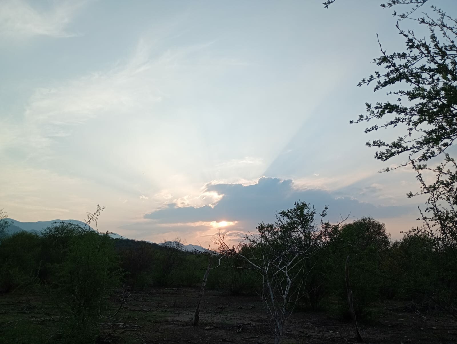 Turismo nocturno y estrellas en Múzquiz con guía especializada