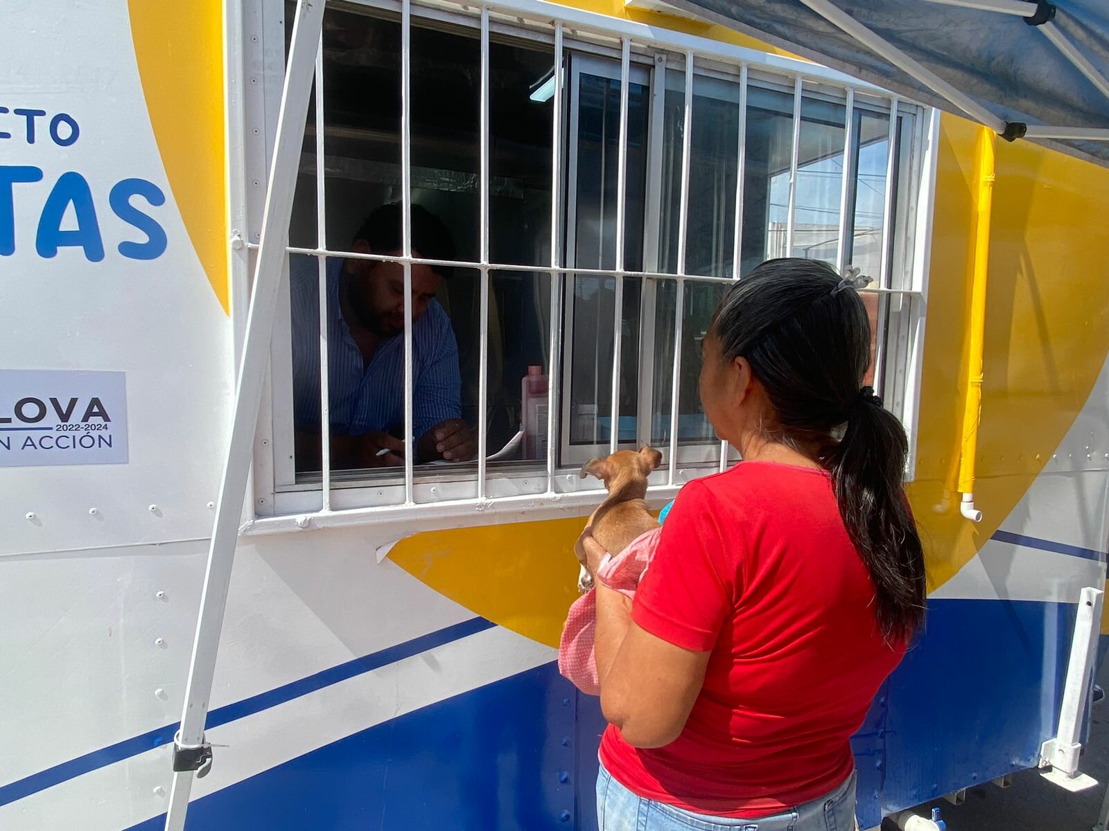El calor extremo dispara riesgo de rickettsia en la región centro