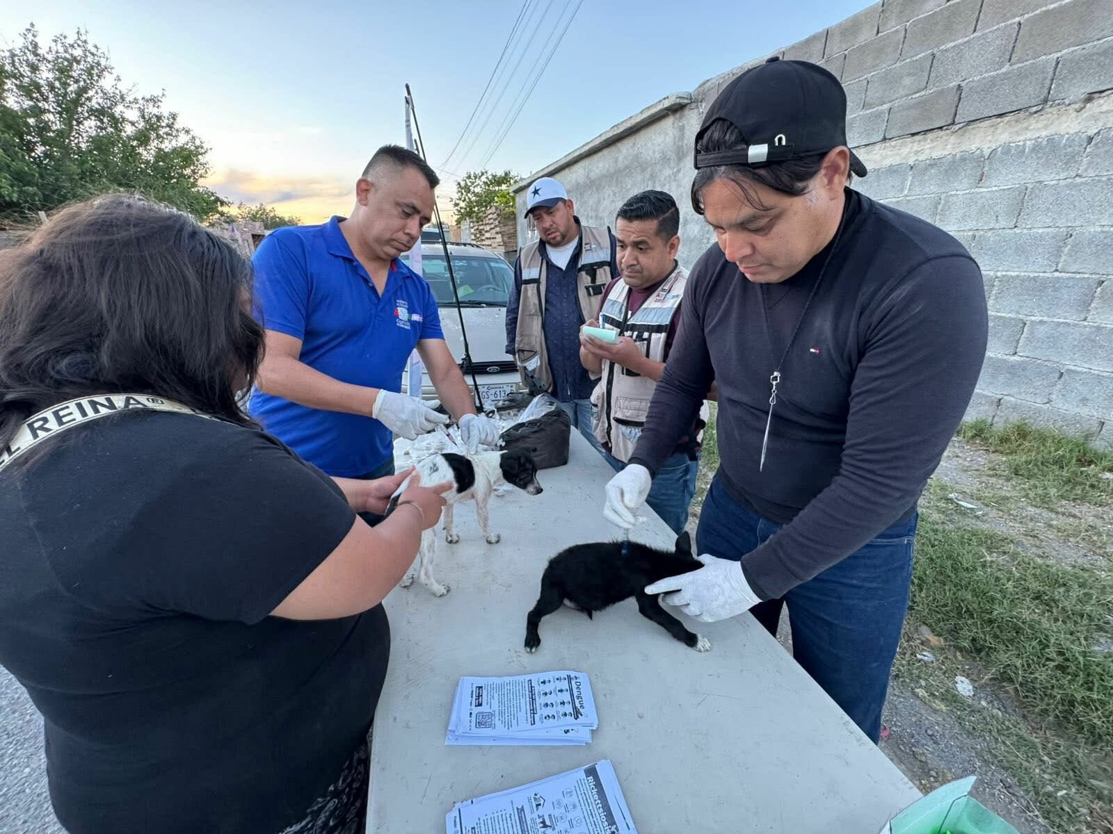 Múzquiz realizará una campaña gratuita de salud animal este 29 de abril con vacunación y desparasitación para perros y gatos en colonia Santísimo
