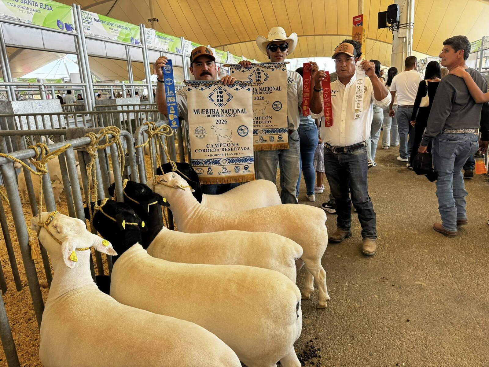 El Rancho La Ilusión obtuvo importantes premios en la Muestra Nacional Dorper en Aguascalientes, destacando el trabajo genético y representando con orgullo