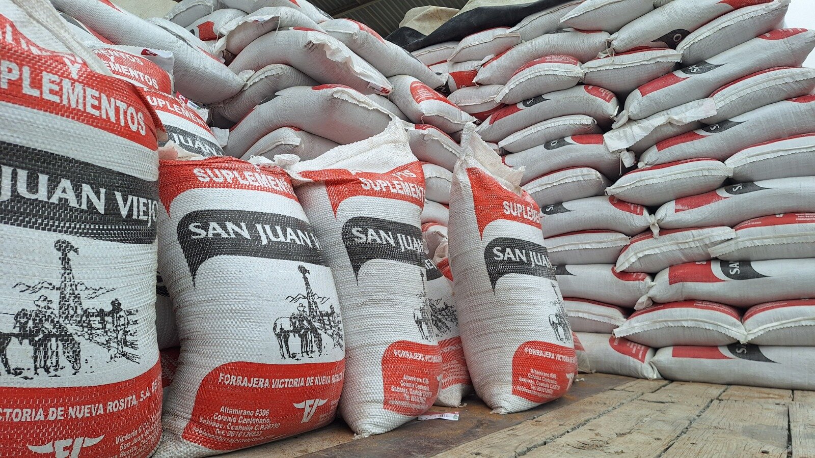 región: se proyecta la entrega de 2 mil 352 toneladas de alimento, beneficiando a 2 mil 200 productores de 38 municipios