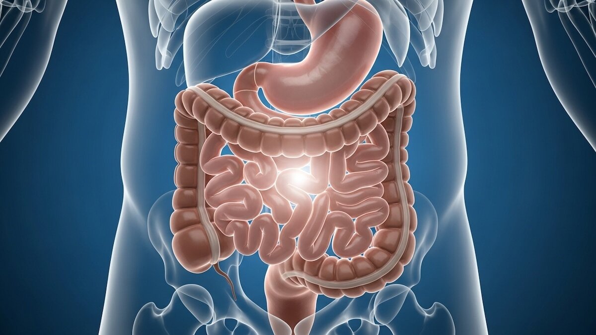 La interrupción del sueño durante la noche es un problema común que afecta a millones de personas y puede provocar cansancio, falta de concentración y un mayor