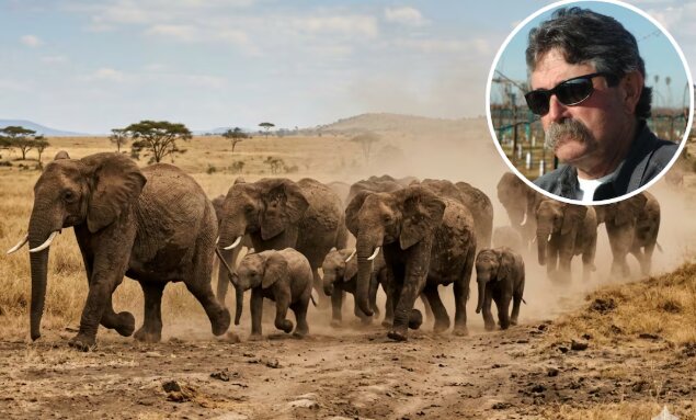 Muere cazador Ernie Dosio tras ataque de elefante en África durante safari