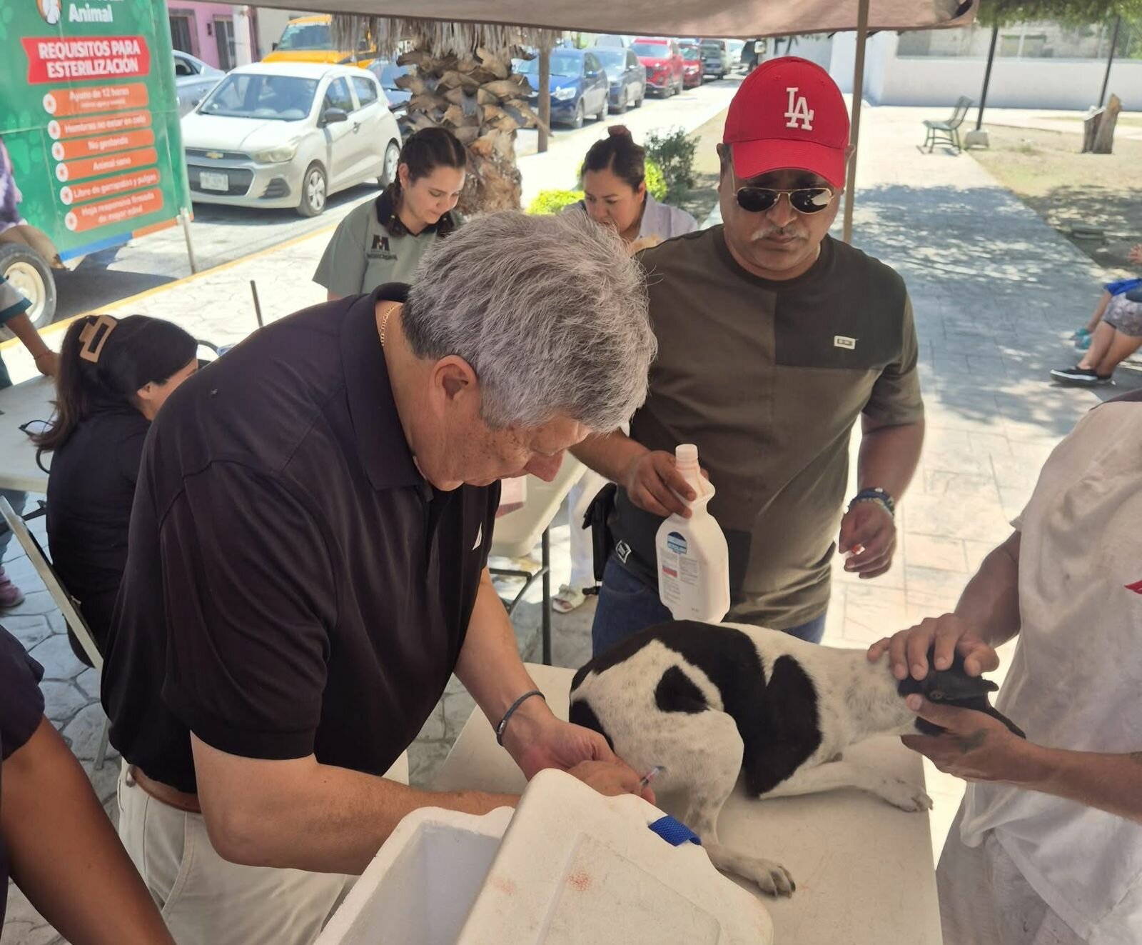 Autoridades refuerzan acciones contra enfermedades por vectores con brigadas integrales de salud