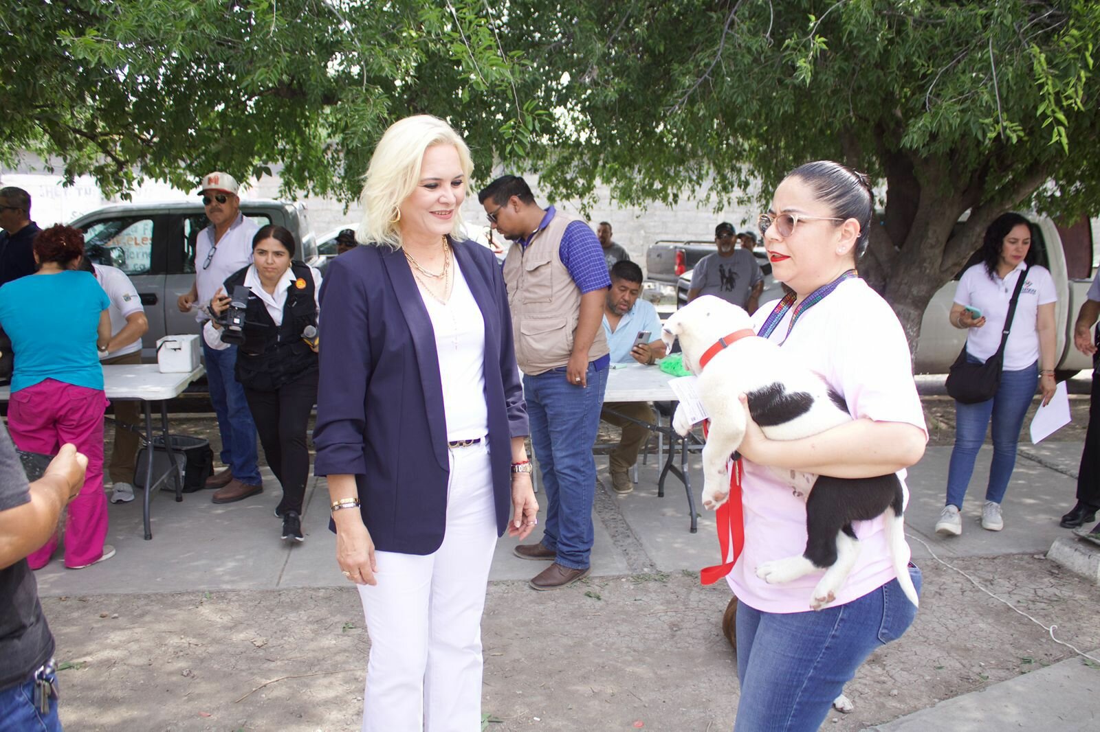 SALUD  El Gobierno de Múzquiz inició campaña gratuita de vacunación y desparasitación para mascotas, con brigadas en colonias, buscando prevenir