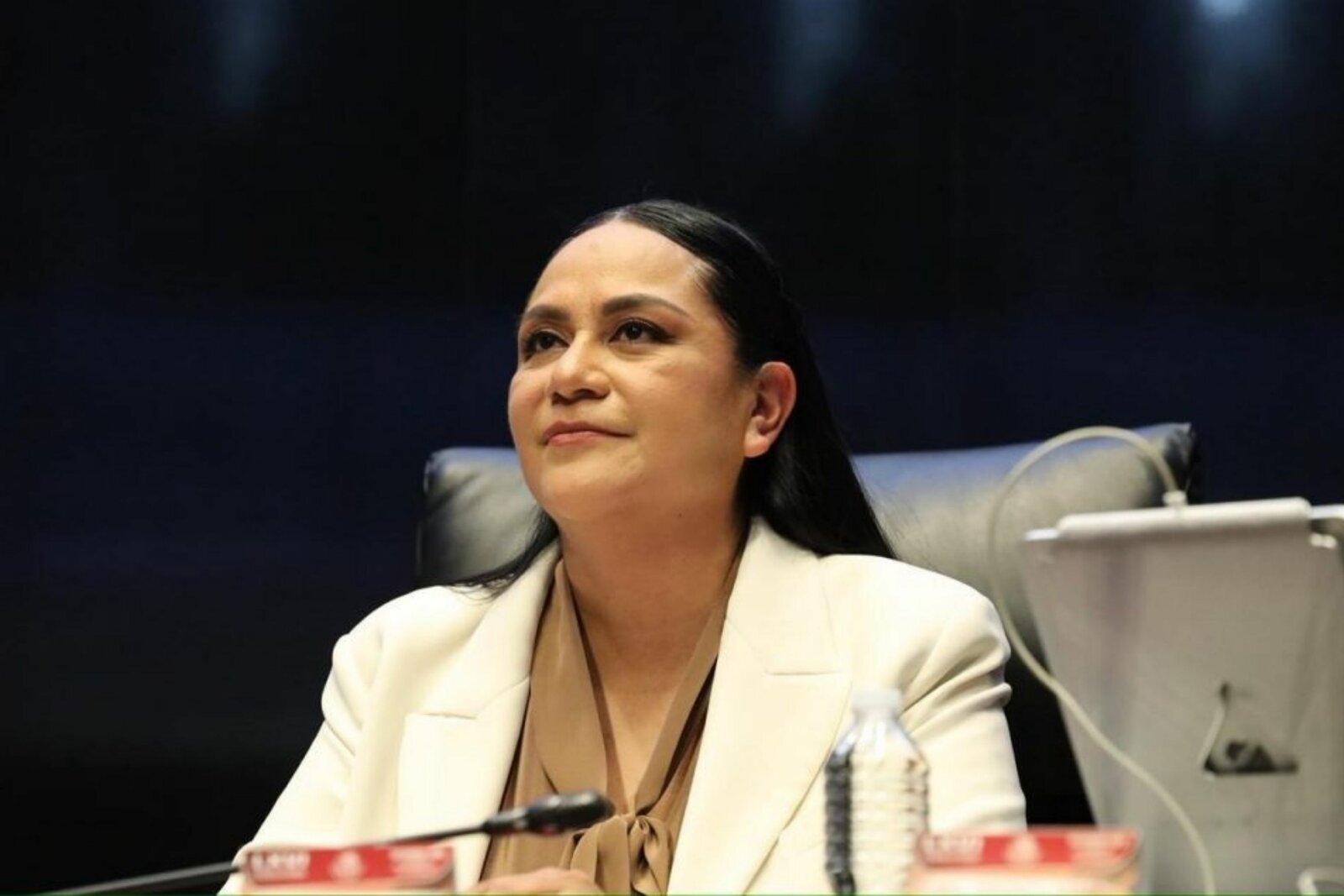     Ariadna Montiel renunció a Bienestar y anunció su intención de dirigir Morena, en un movimiento político clave confirmado por la presidenta Claudia