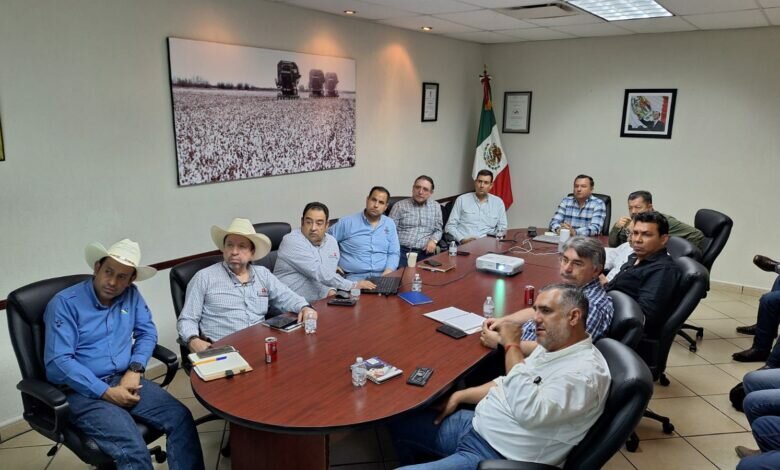 Secretario de Desarrollo Rural de Coahuila confirma primer caso de gusano barrenador en Castaños