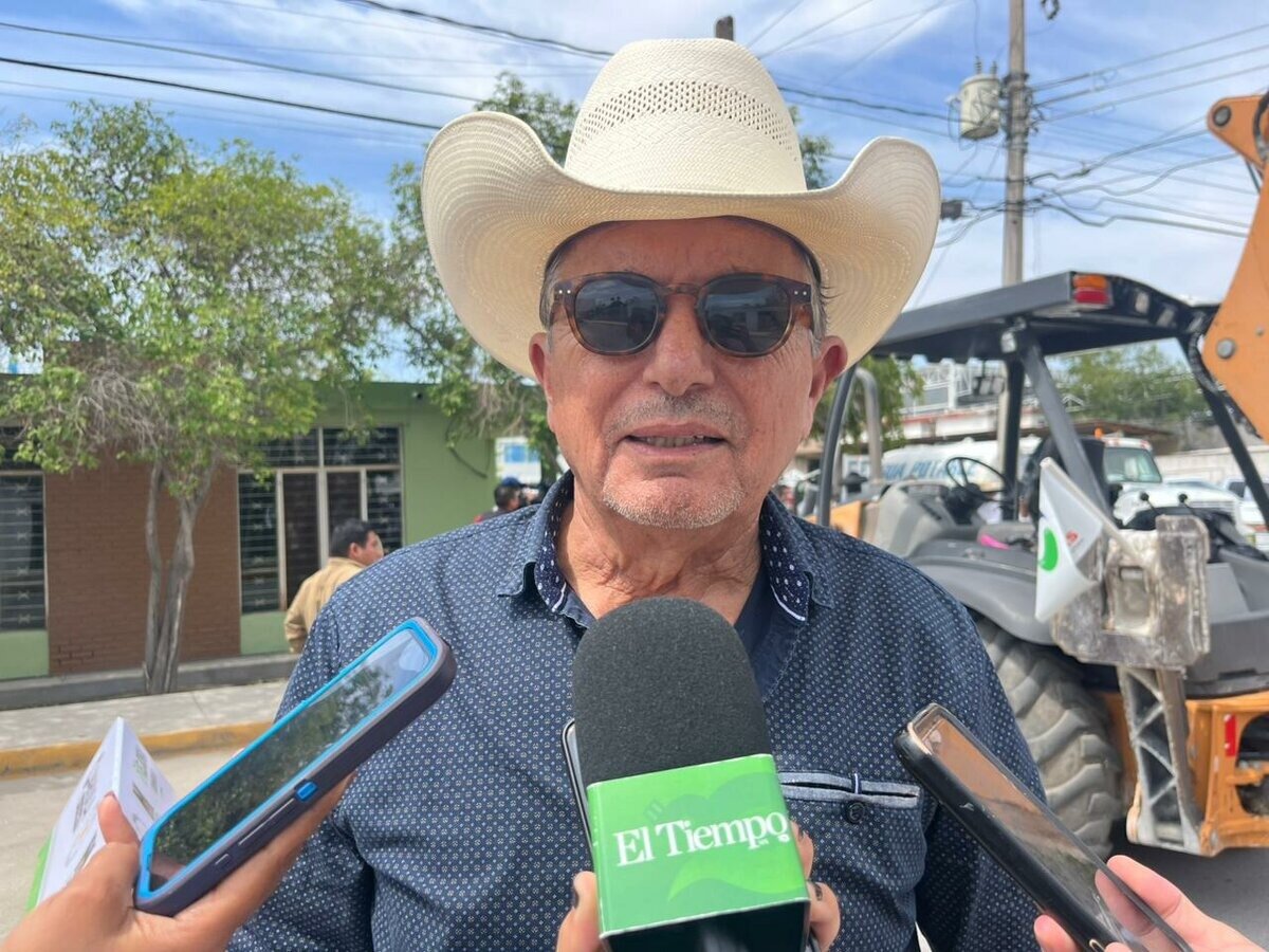 Gusano barrenador