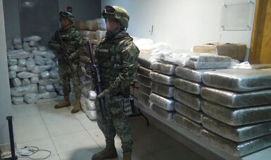 Semar asegura 67 mil kg de mariguana en Baja California