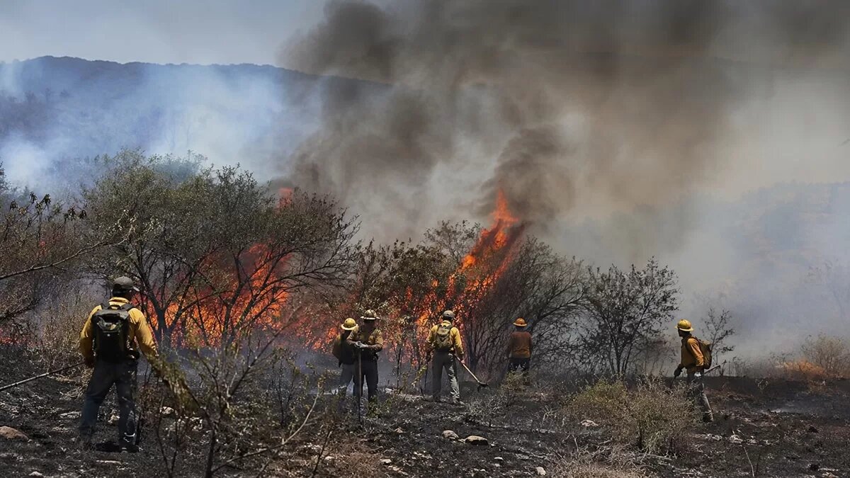 Sofocan incendio forestal en Matehuala tras cinco días de combate