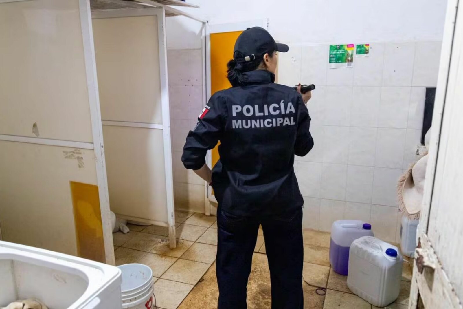 seguridad