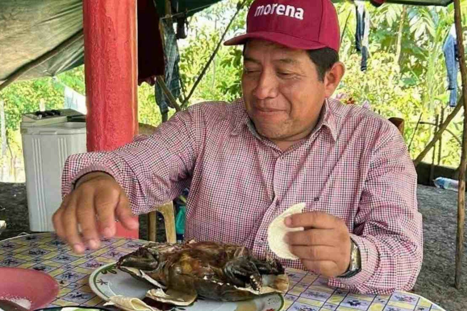 Dirigente de Morena en Macuspana publica imágenes comiendo tortuga “guao”, especie protegida