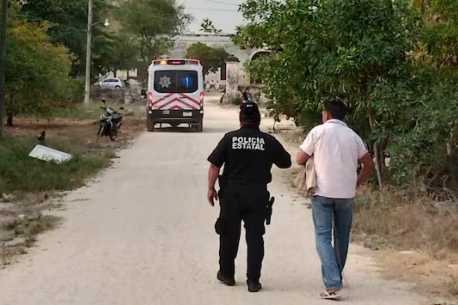 Fallece hombre de 74 años tras ataque de enjambre de abejas en Yucatán
