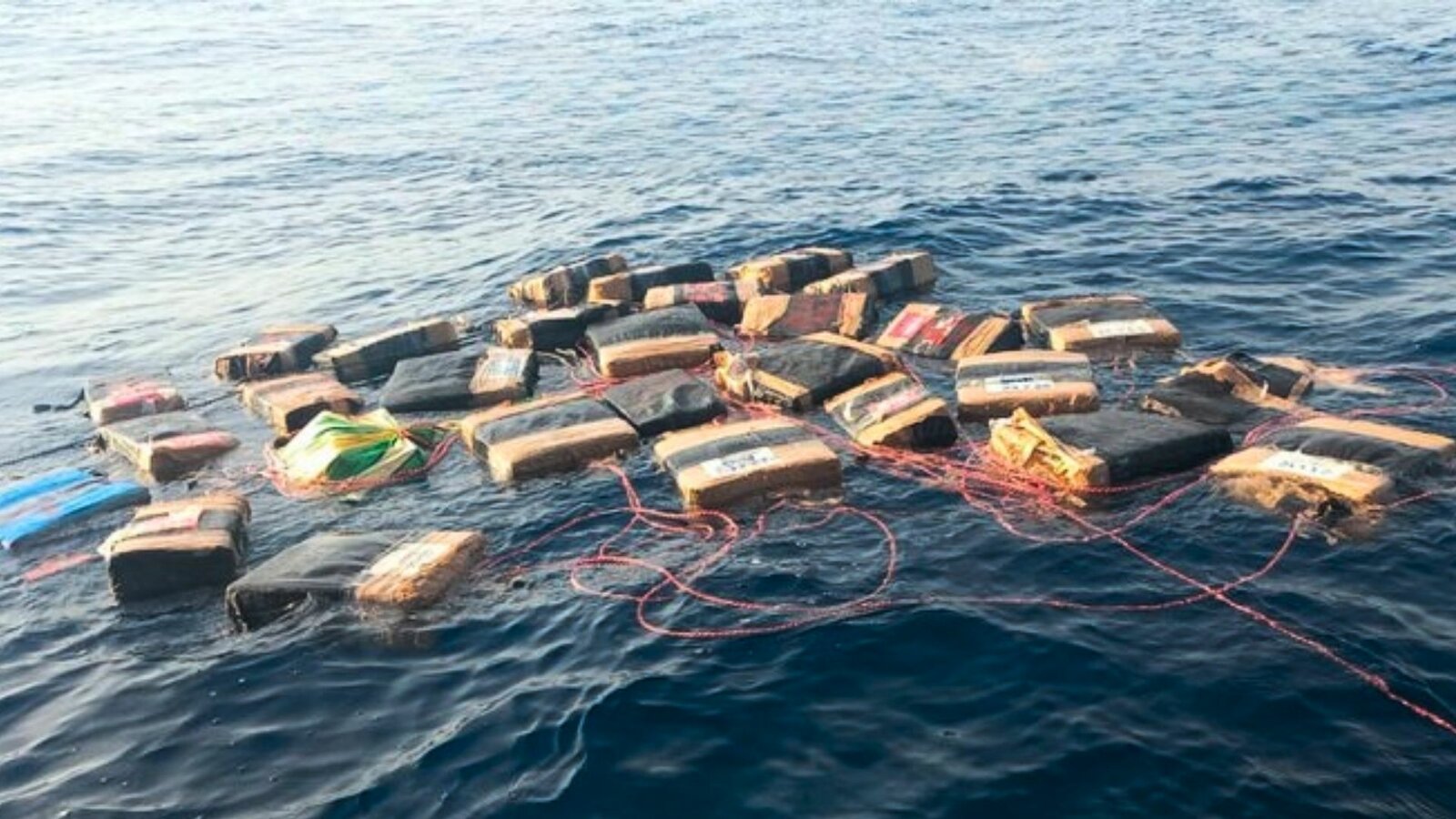 Golpe al narco: Semar incauta más de 2 toneladas de cocaína en Oaxaca