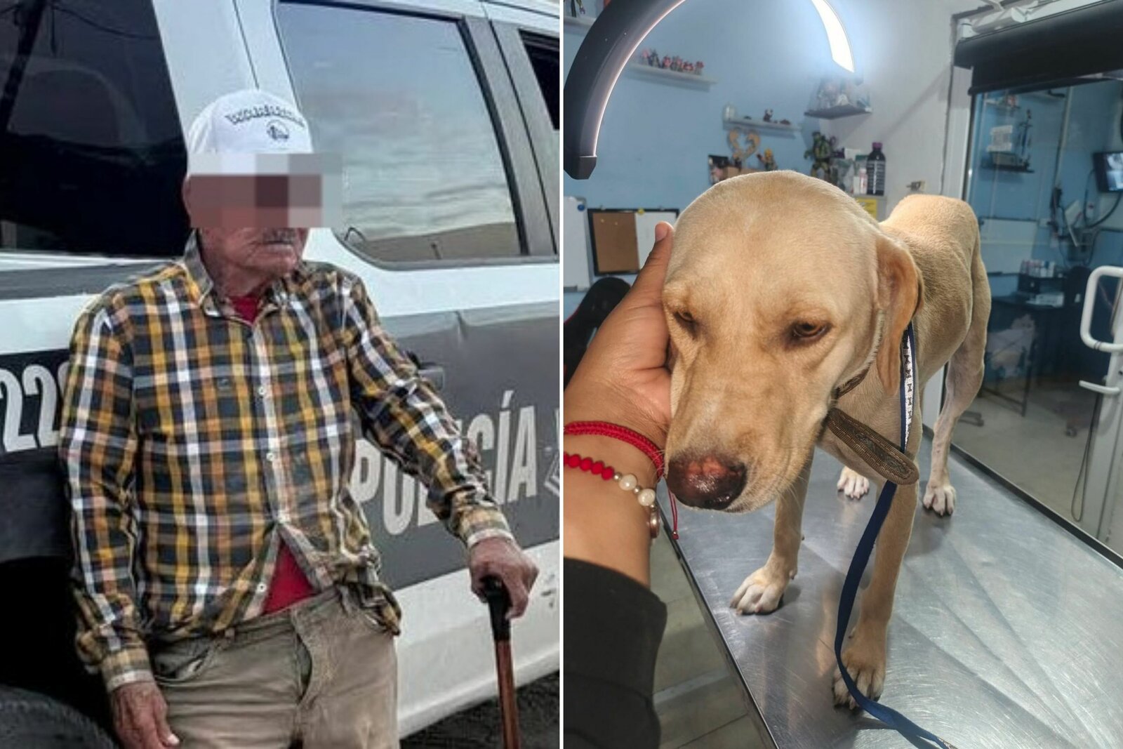 Buscan justicia para 'Bonita' la perrita abusada sexualmente en Monclova