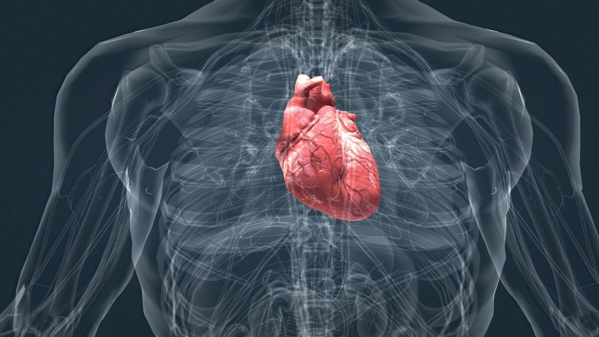 Estenosis aórtica: síntomas, diagnóstico y qué factores de riesgo 