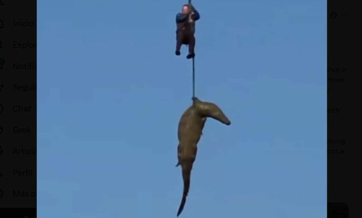 Capturan a cocodrilo en Sudáfrica por restos en estómago