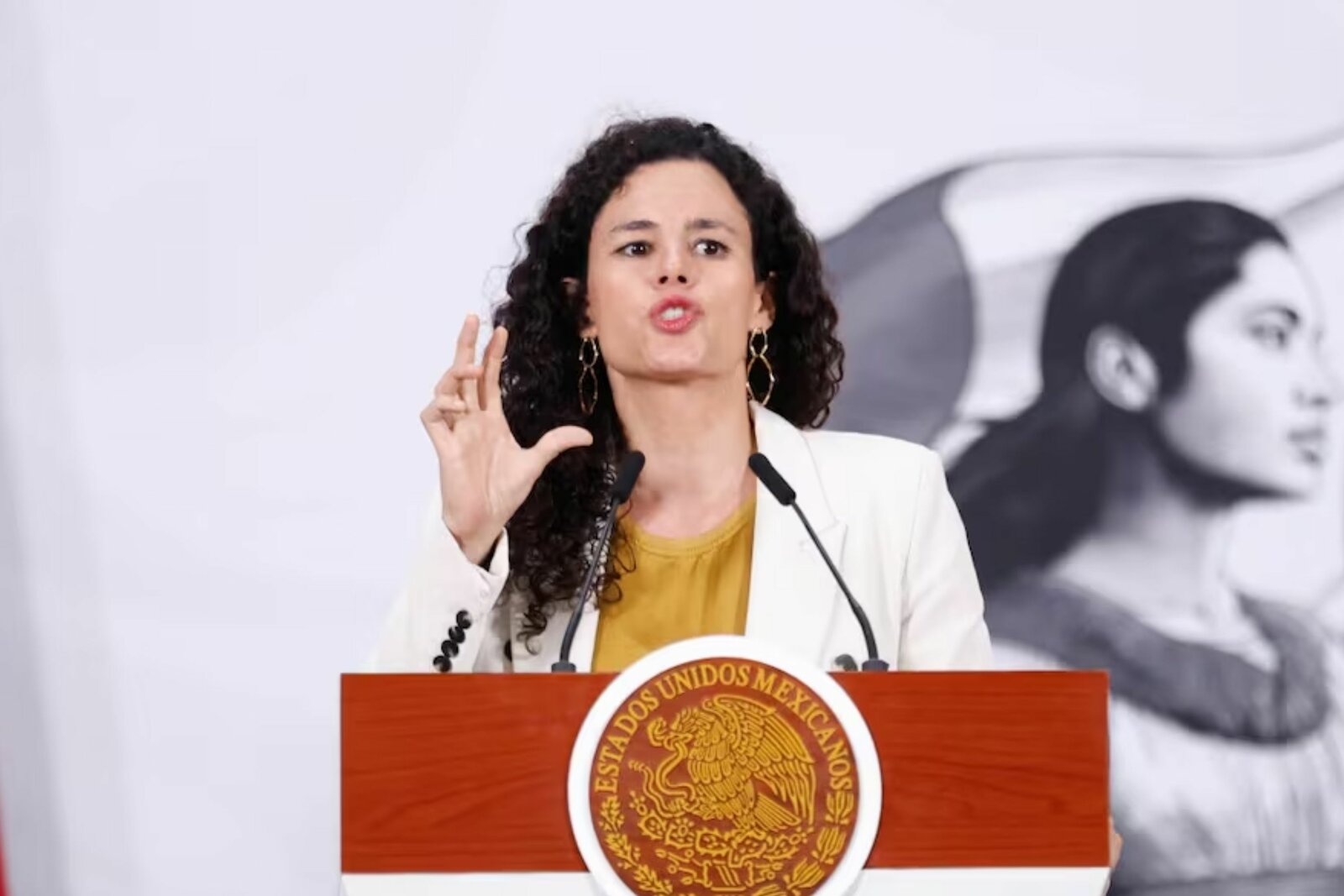 EU no ha presentado pruebas para justificar detención de Rocha: Luisa Alcalde