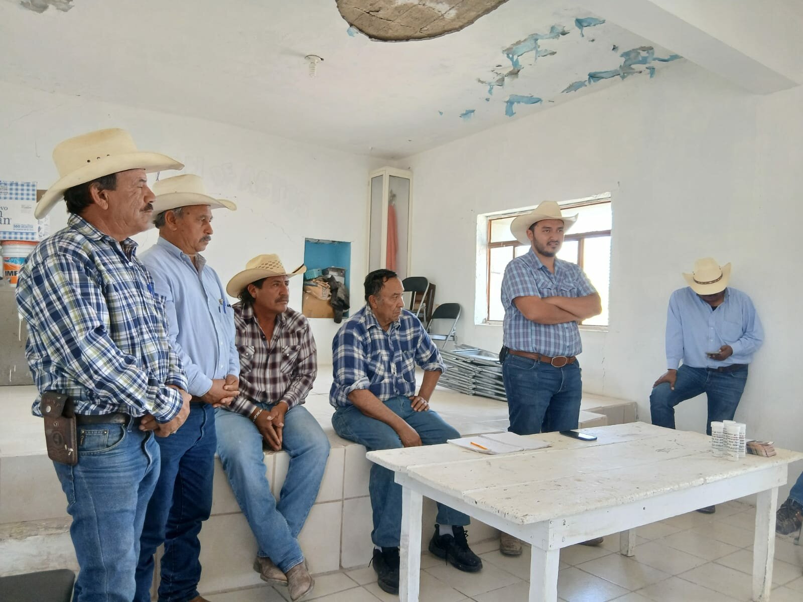 gusano barrenador