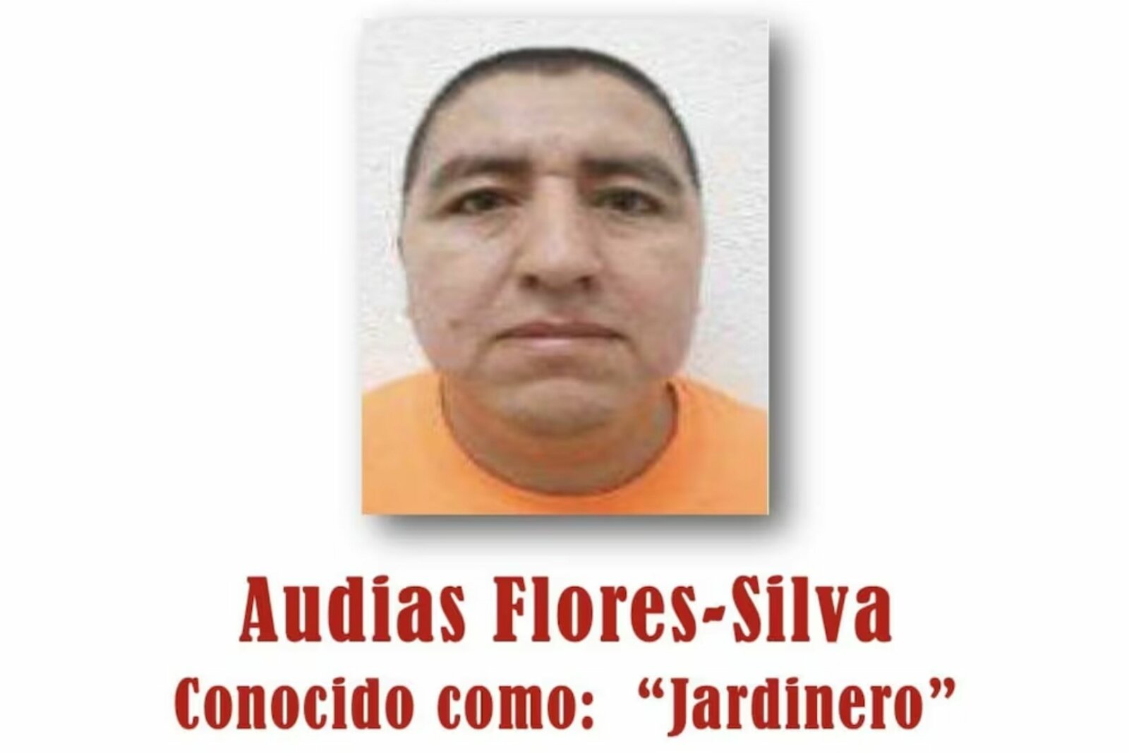 Vinculan a proceso a “El Jardinero” del CJNG; seguirá en el Altiplano