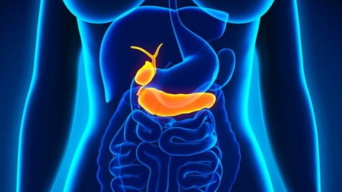 Hábitos diarios que aumentan el riesgo de cáncer de páncreas sin que lo notes