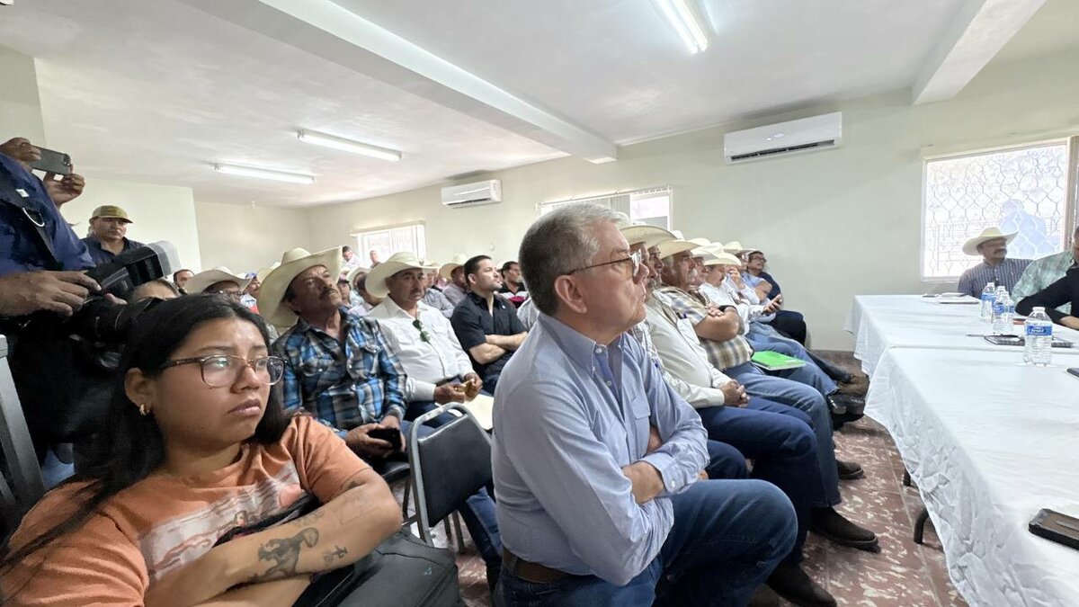 gusano barrenador